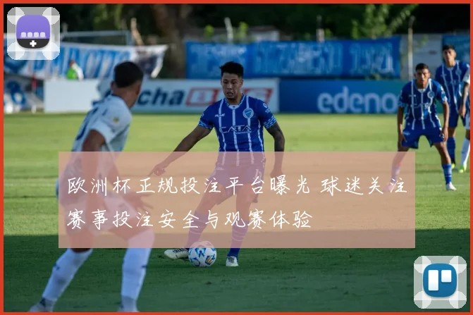 欧洲杯正规投注平台曝光 球迷关注赛事投注安全与观赛体验