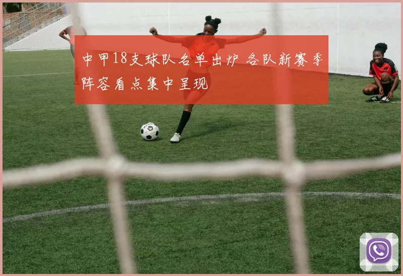 中甲18支球队名单出炉 各队新赛季阵容看点集中呈现